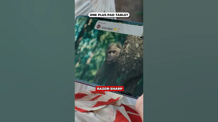 Best Budget Tablets of 2025 – These Beat the Pricey Ones