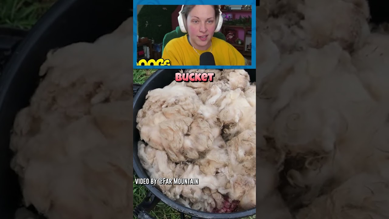 Did You Know You That You Can Ferment Wool?!