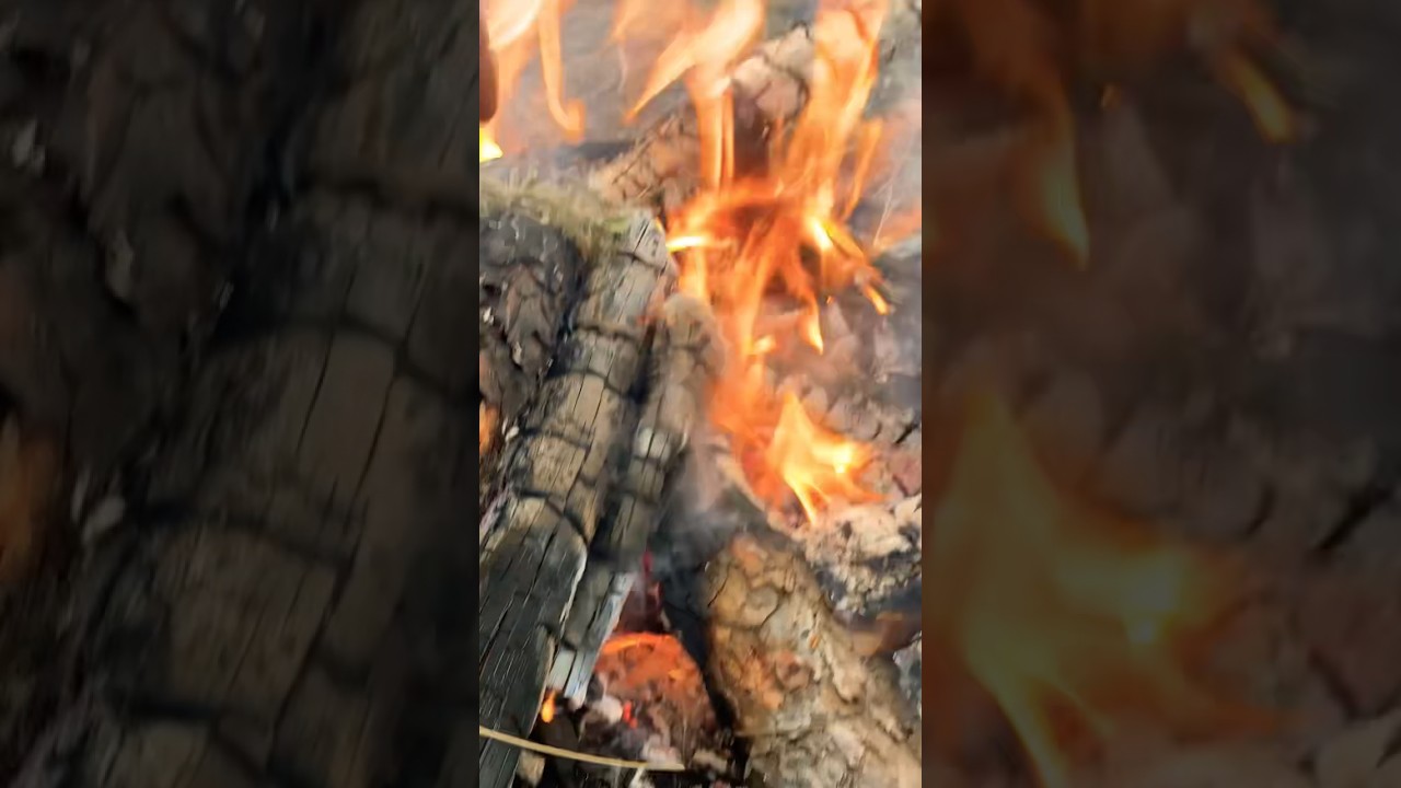 Sending prayers of thanks for another day living our dream 