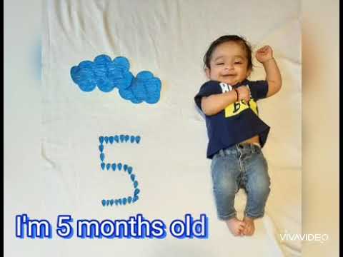 5 Month Baby Photoshoot Ideas At Home Youtube
