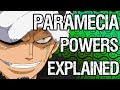 PARAMECIA Fruits Explained: The Good, The Bad and The OP | Tekking101