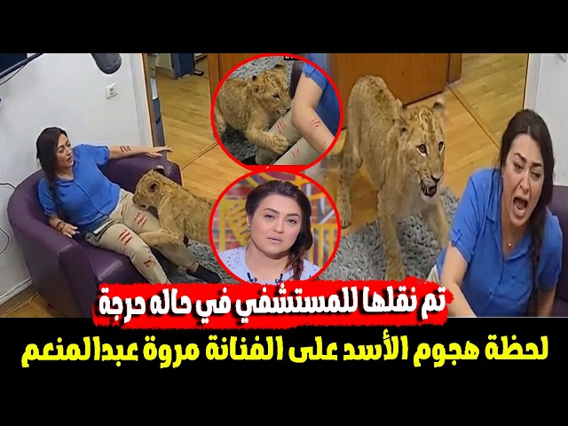 عاجل | اســ,ـد ياكـ ,ـل الفنانة المصرية مروة عبدالمنعم اثناء تصوير حلقتها داخل الاستوديو