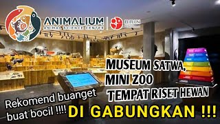 WOW ADA ANIMALIUM TERBESAR SE INDONESIA DI CIBINONG | ANIMALIUM BRIN | WISATA RAMAH ANAK JABODETABEK