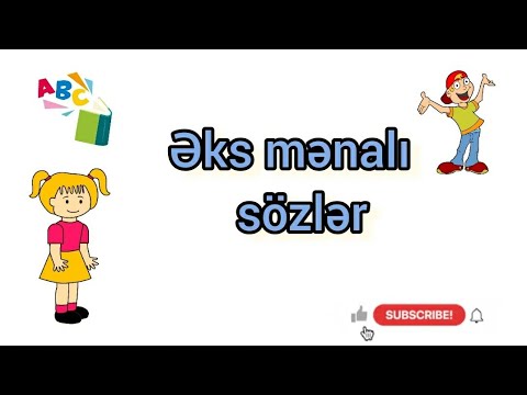 Video: Əksinin əksi nədir?