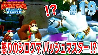 スイッチ ドンキーコングトロピカルフリーズ+ダークソウルリマスターズ ドンキーコング トロピカルフリーズ : 上級編『ドンキーコング