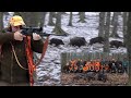 Wild Boar Hunting in Croatia 2021. - Hunting ground "Krivaja"