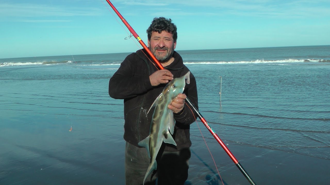 EN BUSCA DE LOS PECES GALLOS--PASION POR LA PESCA