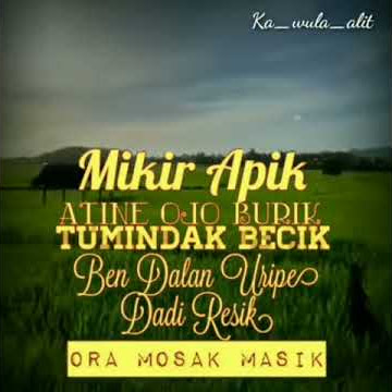 STORY WA || INTRO #DANGDUT