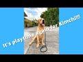 Playtime for Kimchi, the Labrador Puppy!