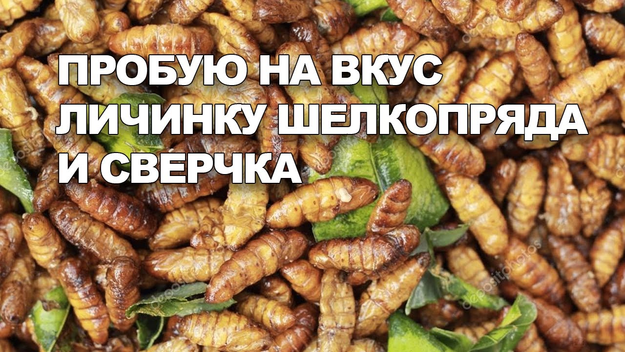 ТАЙСКАЯ ЕДА | КАКАЯ НА ВКУС ЛИЧИНКА | КАКОЙ НА ВКУС СВЕРЧЕК - YouTube