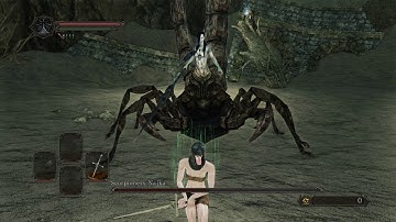 Scorpioness Najka: SL1 CoC +0 no sprint/roll/block/buff