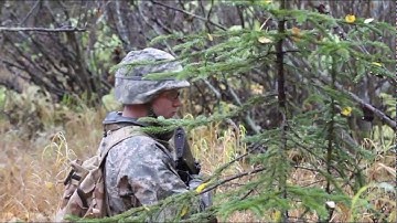 Alaska Army National Guard Simultaneous Membership Program