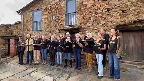 Could this be why we had our BEST ever Olive Harvest?