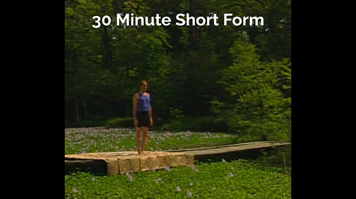 Short Form 30 Min : 1995 (Ashtanga Yoga - David Sw...