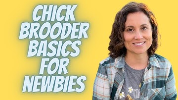 Chick Brooder Supplies & Set Up