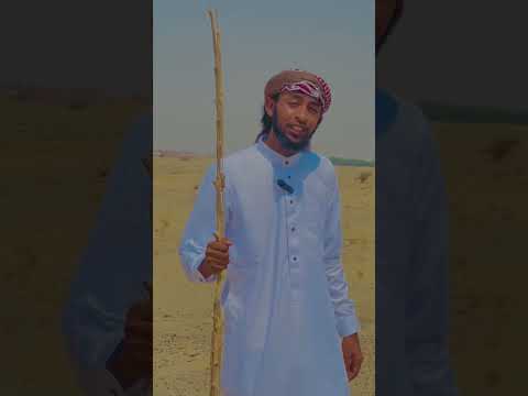 Ustaaz Ibsaa With Sound Raayyaa 