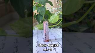 💋#zudio Lipstick Review ✨Budget friendly shade or just hype?👀My honest opinion before you buy💕Shorts