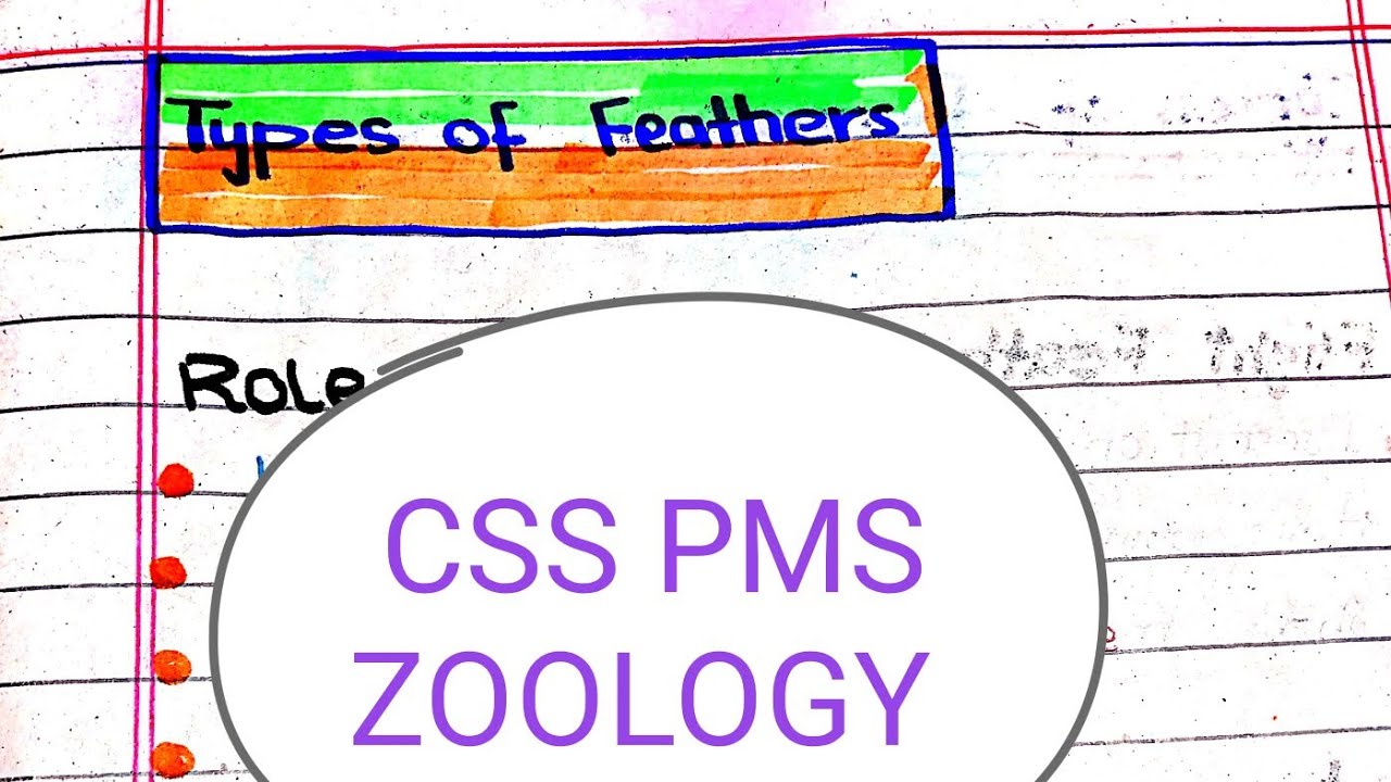CSS Multi Feathers Pommel Sack main image 1