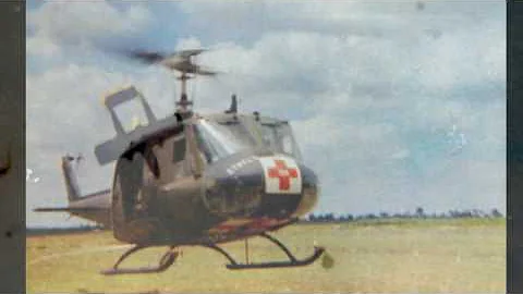 ... Larry's Vietnam Experience ...