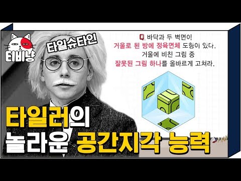 [티비냥] 내가 바로 타일슈타인! 공간지각력은 나를 빼고 논할 수 없지😎 | #문제적남자 | 181030