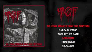 #TØF #TheLethalDosageOfWhatWasEverything #hardcorepunk #punk #persianhardcore #تُف #پانک