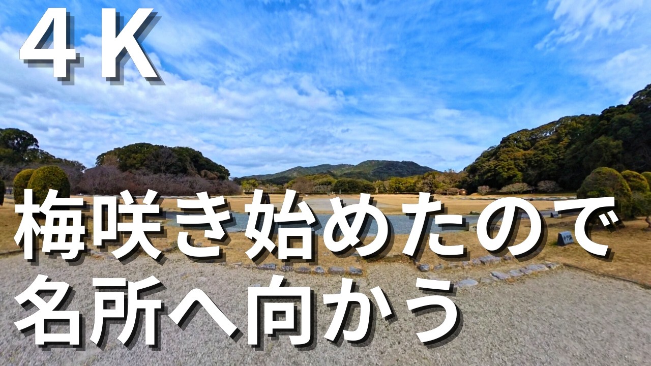 【4K】咲き始めた梅を見に行く～太宰府政庁跡～