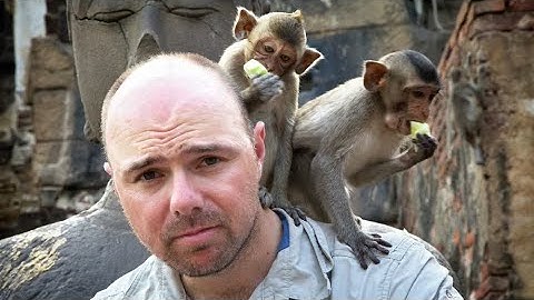 Karl Pilkington An Idiot Abroad Swim with Dolphins S2 E3 (2011)