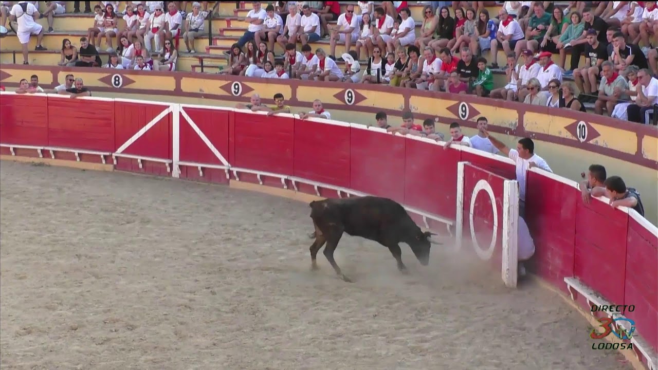 Lodosa, Patronales 2026, Directo Festejo matinal 04/08/26