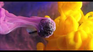 Ink In Motion Prod. By Jdf Instrumental Sample Trap Beat