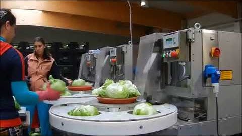 VePack 200-PHH BrimaPack