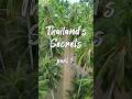 BEST HIDDEN GEMS IN THAILAND (Empty Beaches In A Secret Paradise)