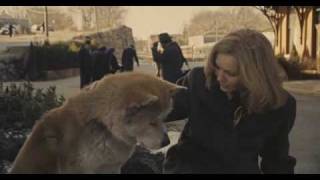 ✿⊱ HACHIKO  ✿⊱  Tribute