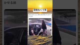 圧倒的手慣れ感#おもしろ #おもしろ動画 #short#兄弟愛#可愛い #おすすめに乗りたい