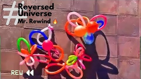 Mr. Rewind and The Satisfying of Reversing ⏳🔥