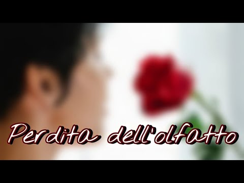 Video: I nervi olfattivi possono essere riparati?