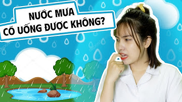 Nước mưa có sạch không Hé lộ bí mật có thể giúp bạn tận dụng hiệu quả nước mưa đúng cách