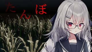 【 たんぼ 】愛犬と夜のたんぼ道を散歩する。【 領国つかさ / すぺしゃりて 】