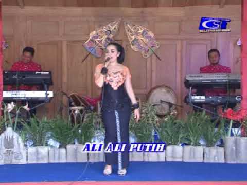 ALI ALI PUTIH CAMPURSARI FORTUNA