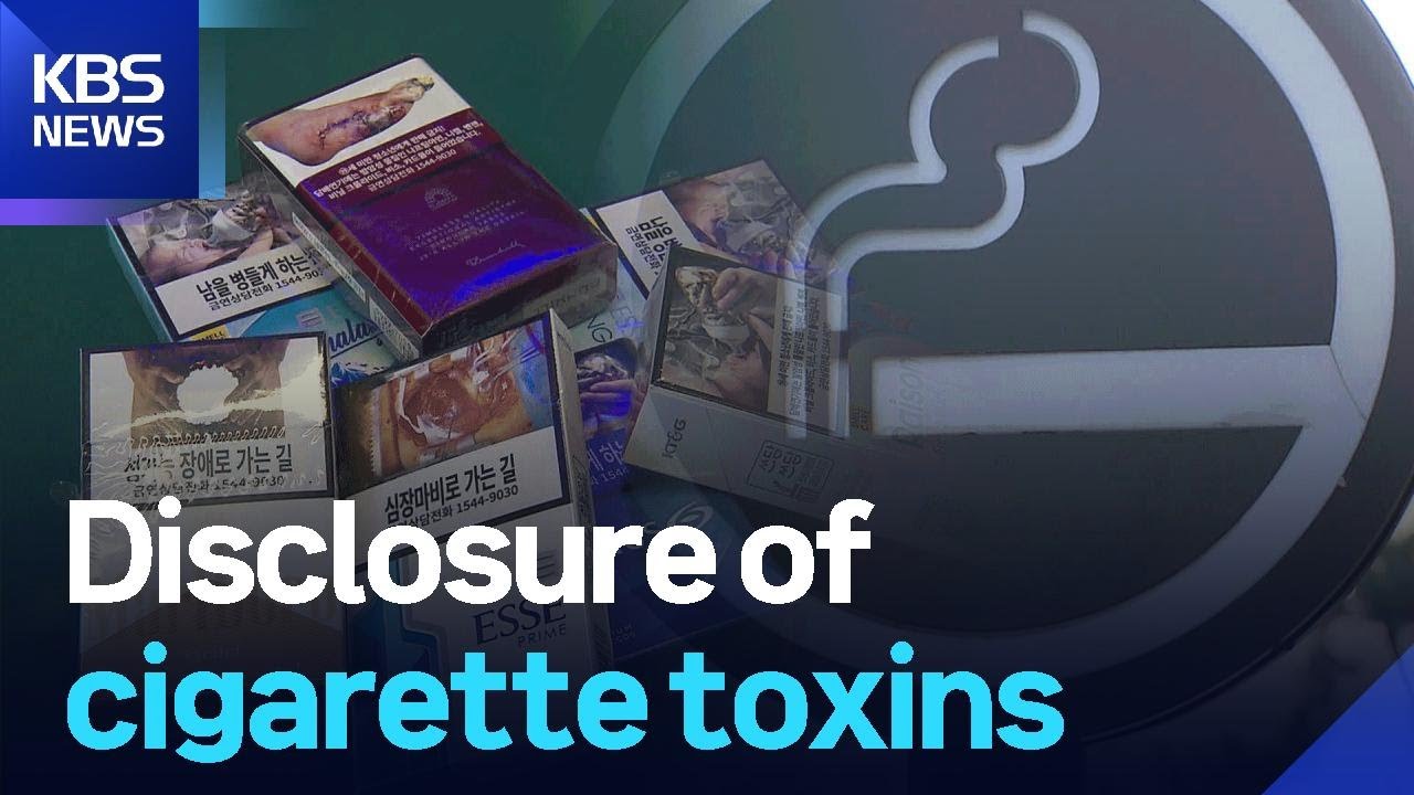 Disclosure of cigarette toxins / KBS  2025.11.13.