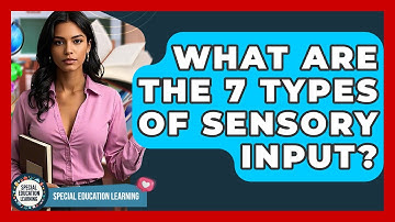 What Are The 7 Types Of Sensory Input? - Special Education Learning