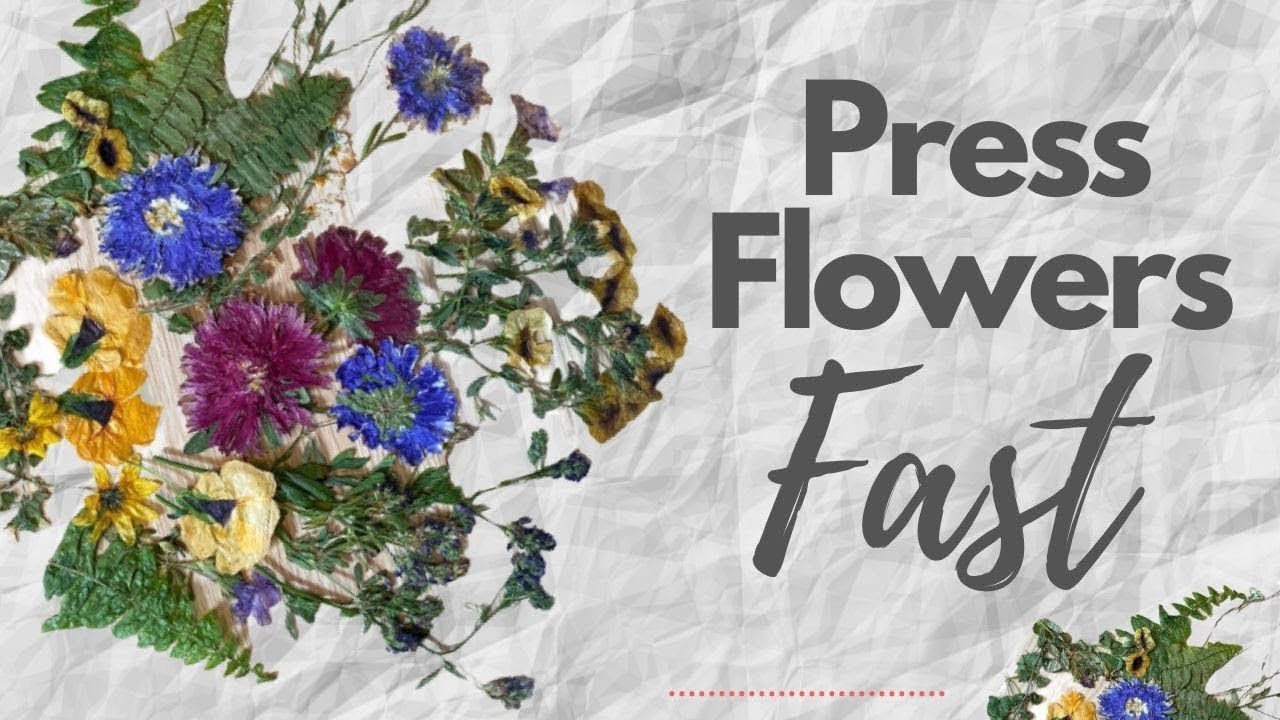 How to Press Flowers in Minutes  Microwave Flower Press - AB Crafty