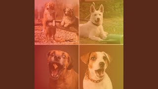 Download Lagu Calm Puppy Play Dates Download Lagu Calm Puppy Play Dates