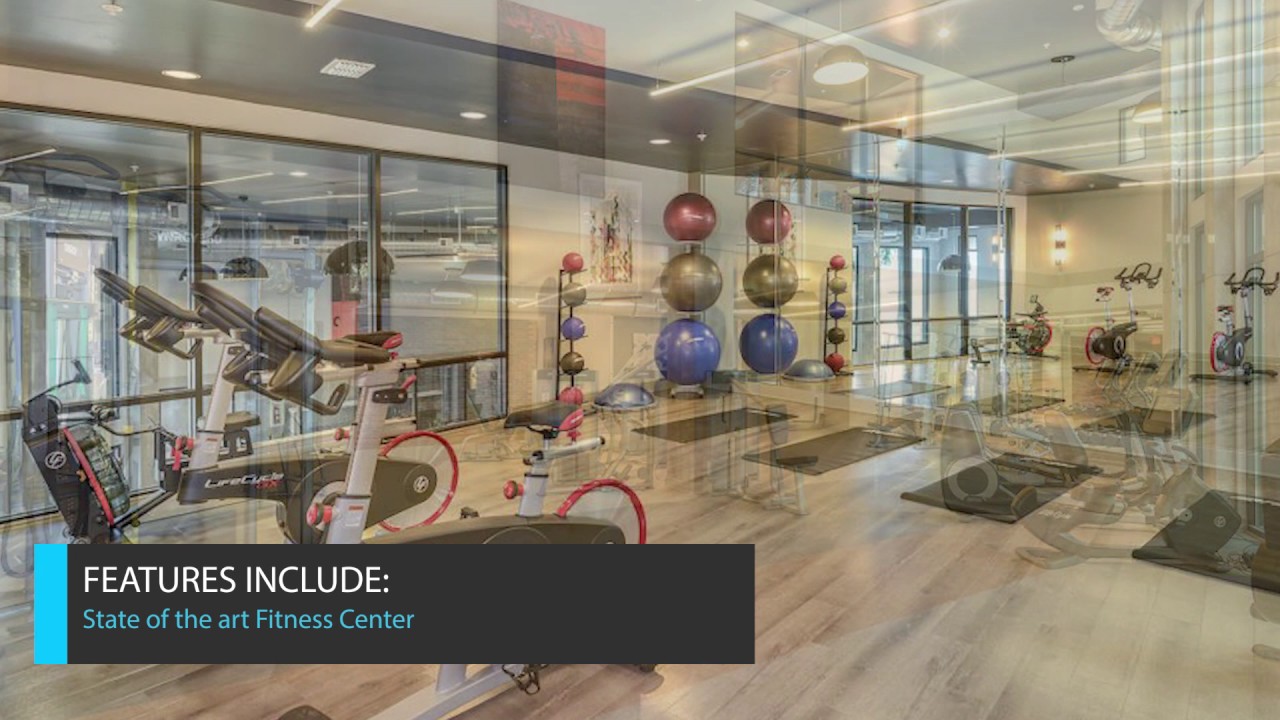 Aurora Luxury Apartments YouTube