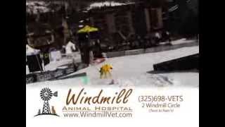 Windmill Animal Hospital TV spot 7   Windy's Gold Bone