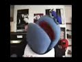 ED's Furry Fucking Guide To Metal!!!!