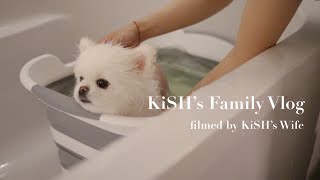 The Reason Why Our Dog Needs to Take Bubble Spa by KiSH-Log 키쉬의 브이로그 59,836 views 1 year ago 8 minutes, 29 seconds