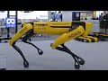 3D 180VR 4K Spot Boston Dynamics Robot Dog Moving Performance