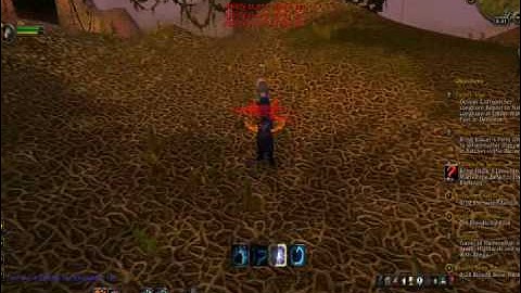 Feral Druid Multiboxing