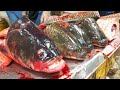 [Graphic] Typical Fish Head Cooking and Cleaning in Vietnam - Vietnam Street Food