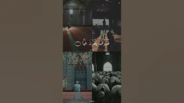 فخلف من بعدهم خلف اضاعوا الصلاة واتبعو الشهوات فسوف يلقون غيا للقارئ وديع اليمنى 